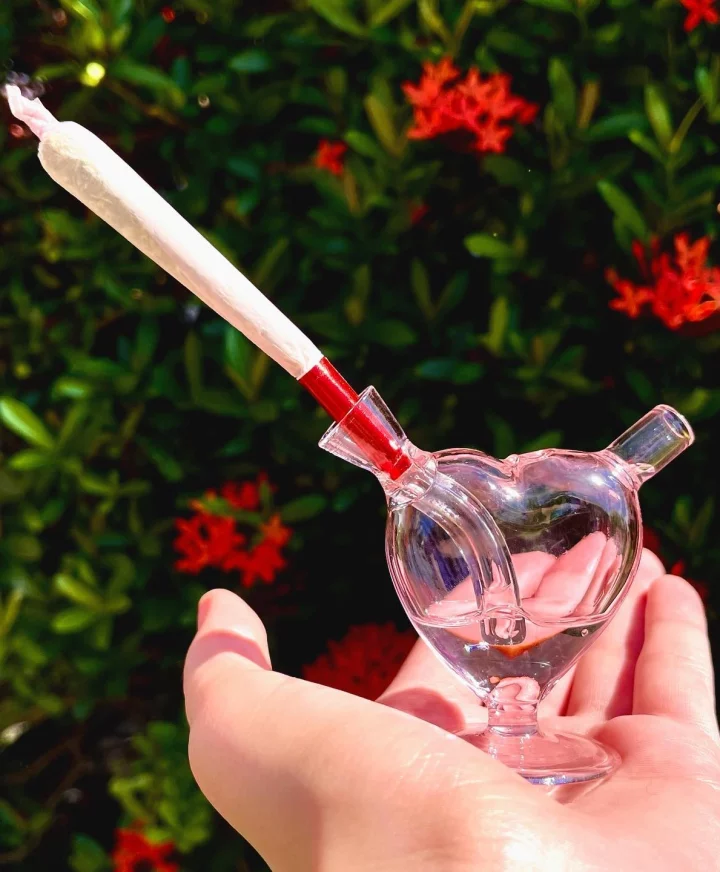 Pocket-Sized Cutie Heart-shaped Bubbler